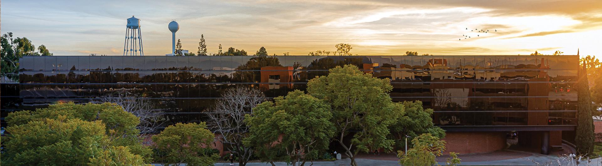 bingo plus rewards login