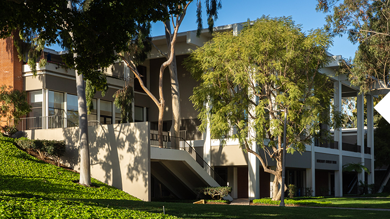 bingo plus rewards login